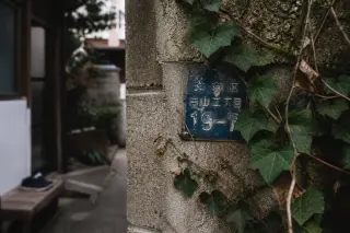 Weathered address plaque with Japanese characters partially covered by ivy on an old stone wall in a Tokyo alley, soft winter daylight and hints of nearby life.
