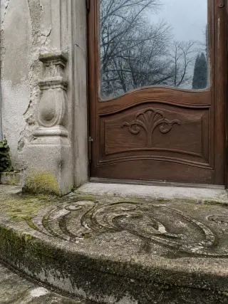 Mossy villa entrance threshold with intricate Art Nouveau stonework, faint tree reflections in old glass, soft winter light.