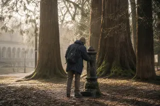 A person stands quietly beneath towering old trees in a misty park, observing a mossy cast-iron fountain, with faint outlines of historic architecture blurred in the background.