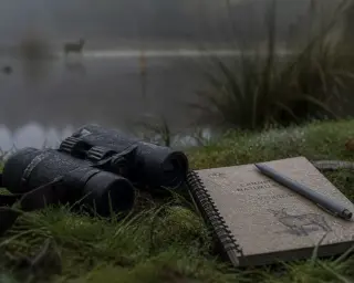 Binoculars and notebook on mossy pond edge, morning light, hint of wildlife in background