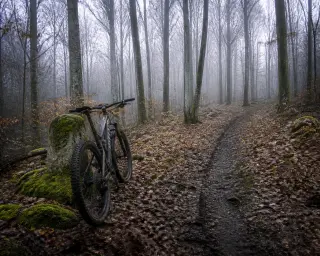 Mountain bike resting against a mossy old stone in a misty beech forest with soft morning light and subtle tire tracks.