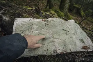 Damp forest map on mossy tree trunk with a hiker's hand pointing, in soft natural Vosges woodland light.