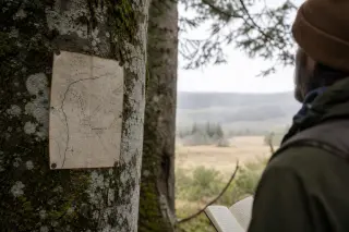 Weathered map tacked to a beech tree at the edge of a misty forest, with a thoughtful hiker examining the landscape beyond.
