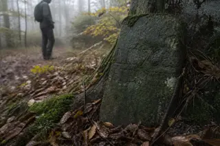Moss-covered boundary stone among fallen leaves at the edge of a forest path, with a solitary figure quietly observing in the misty background.