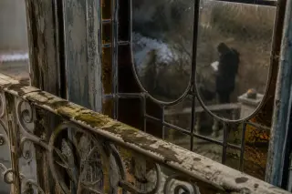 Detail of aged ornate balcony ironwork and stained glass, with a blurred figure reflecting in the window and overgrown garden in soft winter light