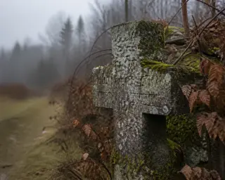 Mossy medieval stone cross half-hidden by foliage at the edge of a quiet, misty forest, showing weathered details and subtle traces of an ancient footpath.