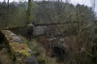 Person studying old inscriptions on an overgrown canal bridge, surrounded by subtle spring vegetation and soft light