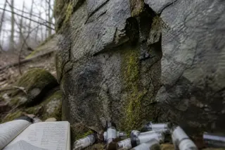 Close-up of a mossy granite wall in a forest with mineral droplets, a weathered notebook, and vials, bathed in soft winter light.